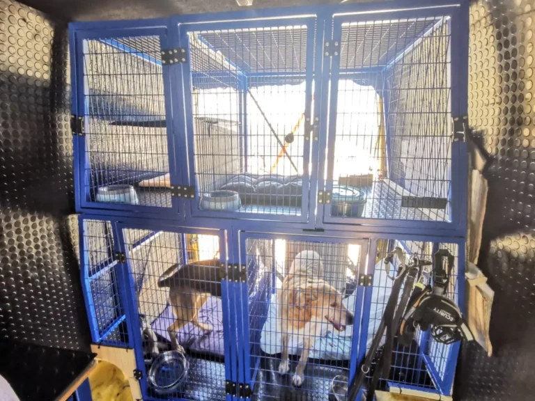 Happy pets inside of comfortable custom kennels