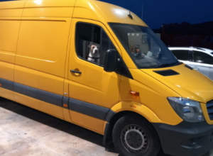 International Pet Transportation Company